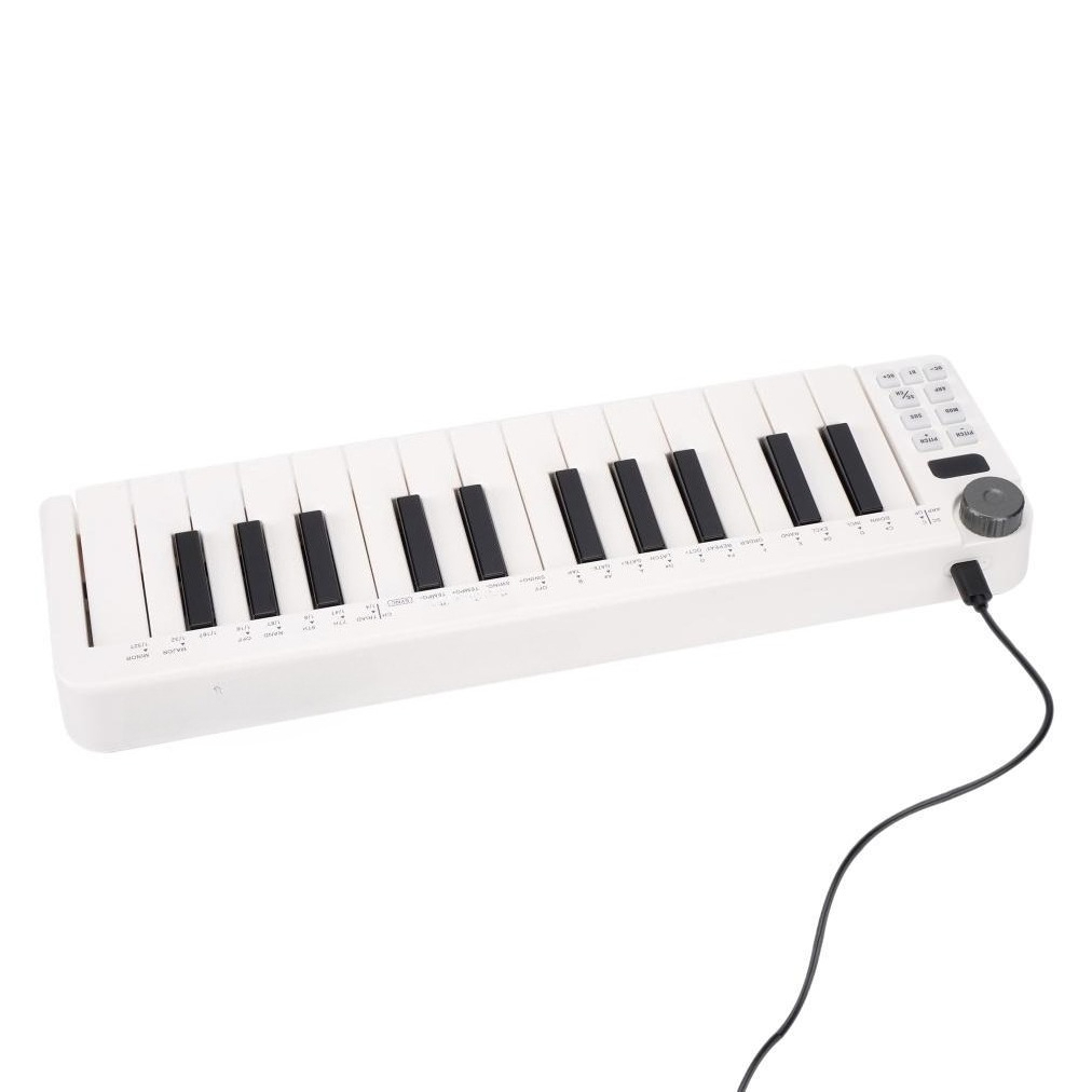 25-Key MIDI Controller, Wirele - A Musical Instrument With Keys recension och pris