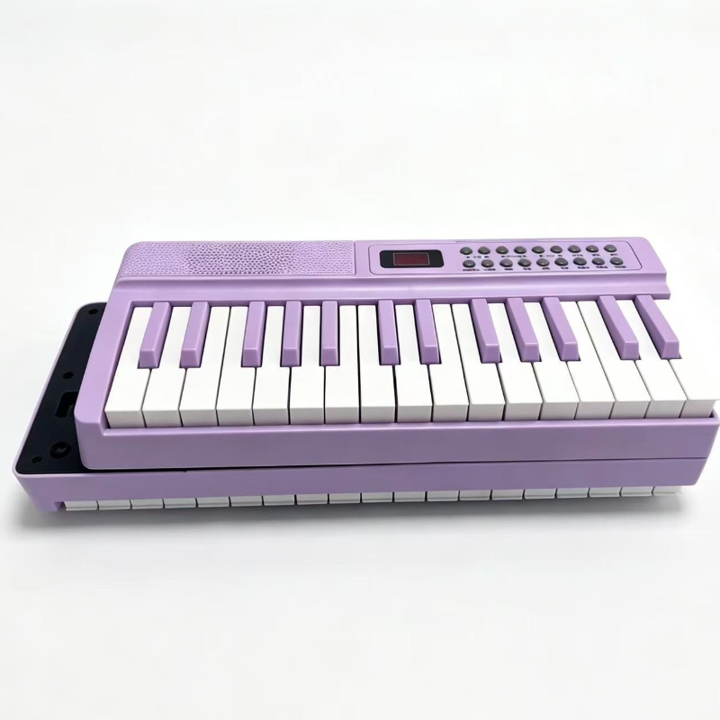 61-Key Portable Digital Piano  - Musical Instrument Keyboard recension och pris
